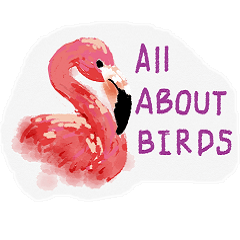 [LINEスタンプ] All about birds