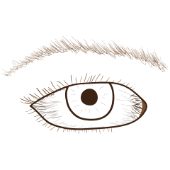 [LINEスタンプ] Eye-brown (日本)