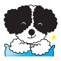 [LINEスタンプ] Tofu the little poodle