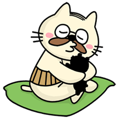 [LINEスタンプ] 猫のニャモメさん