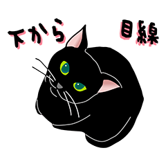 [LINEスタンプ] シャイな黒猫シャイくろ