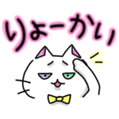 [LINEスタンプ] ネコノブちゃん