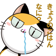 [LINEスタンプ] 喜怒哀楽ミケネコ