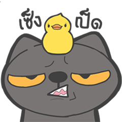 [LINEスタンプ] Midmee single show