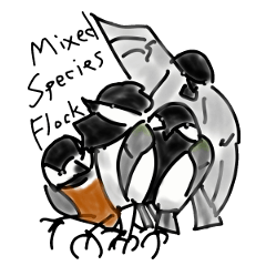 [LINEスタンプ] カラ類混群形成セット