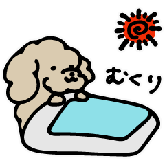 [LINEスタンプ] ゆるいぬジロちゃん