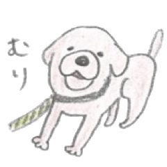 [LINEスタンプ] ラサアプソのコング