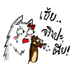 [LINEスタンプ] Mr.squirrel and Mrs.meow