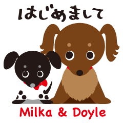 [LINEスタンプ] ダックス犬 ミルカ＆ドイル〜日常会話編